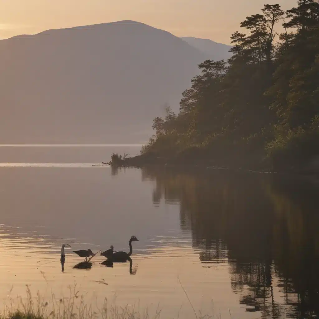 Birdwatching at Dawn from the Shores of Loch Ness